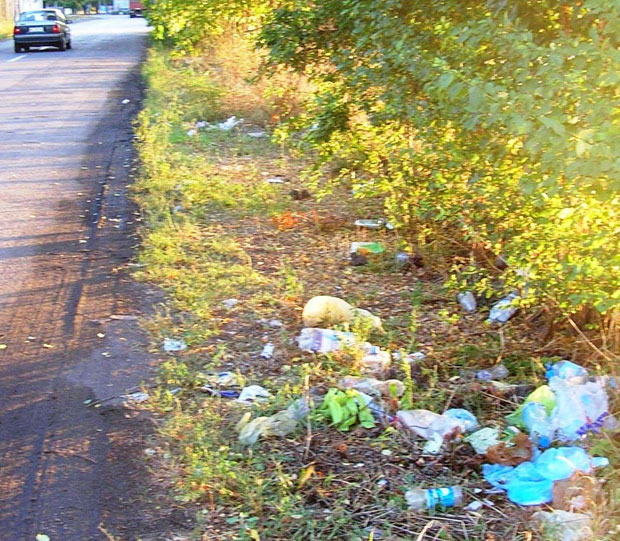 Врбас: Смеће крај пута, возачи без казне